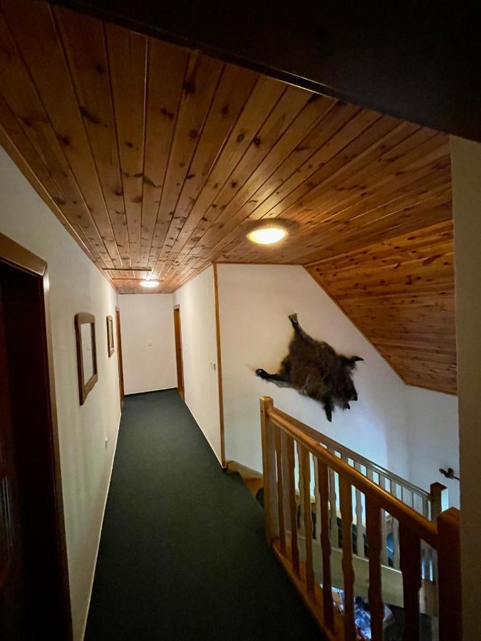 Treti Chalupa U Smrciny Janske Lazne Exterior photo